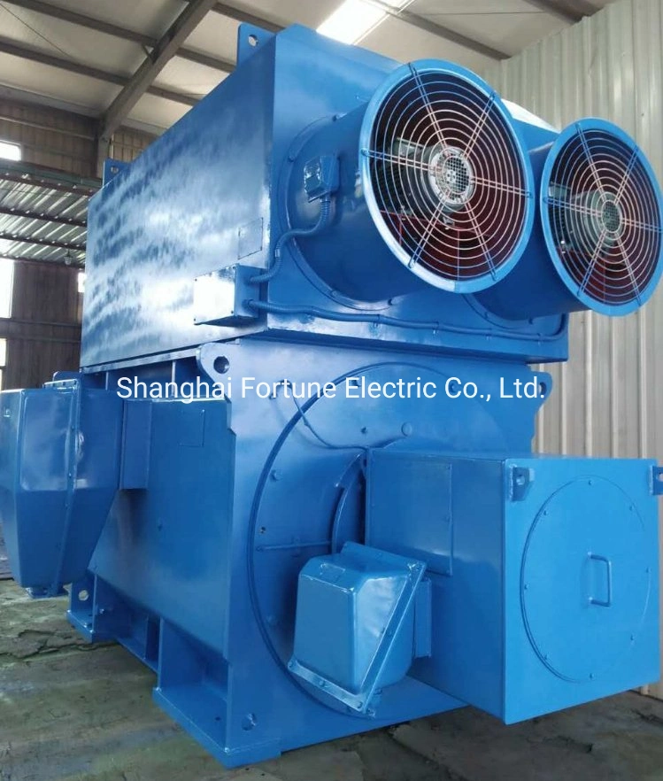 Sugarcane, Cement, Steel Rolling Mill Machine High Voltage Heavy Duty Wound Rotor Slip Ring AC Motor