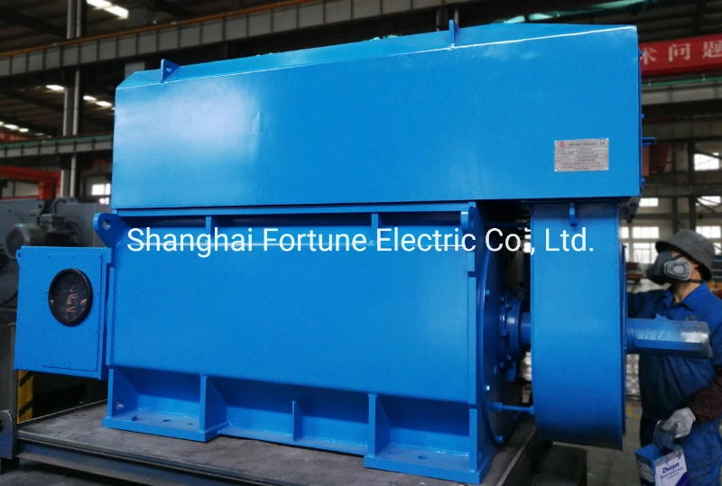 Sugarcane, Cement, Steel Rolling Mill Machine High Voltage Heavy Duty Wound Rotor Slip Ring AC Motor