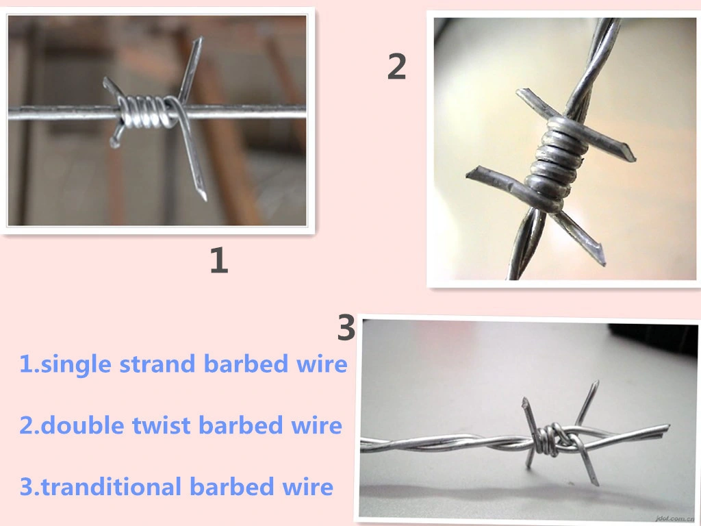 Factory Sale Bwg 12 X 12 Wire Galvanized Barbed Wire for Military Fence