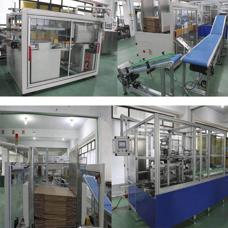 China Manufacturer Carton Case Box Forming Filling Cartoning Machine with Tape Sealing