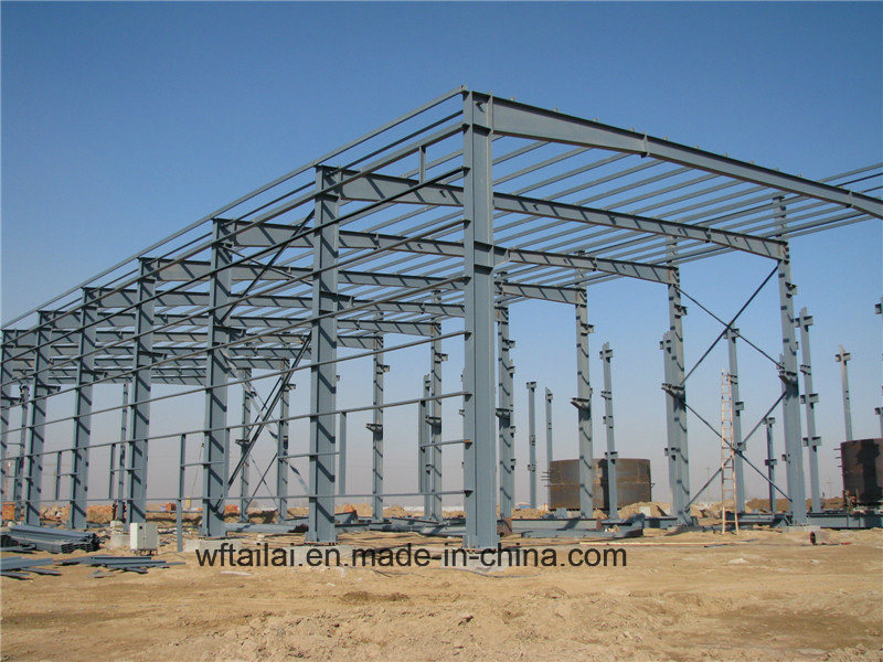 Steel Contruction Building for Steel Structure House