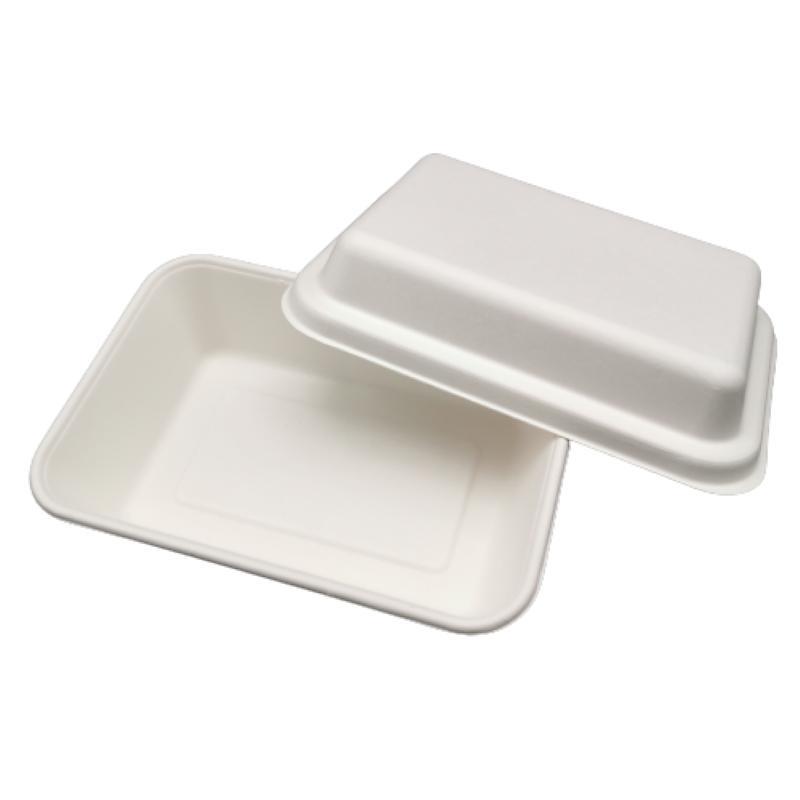 7.5 Inch X 5.5 Inch Eco Food Container with Pulp Paper Cover Lid