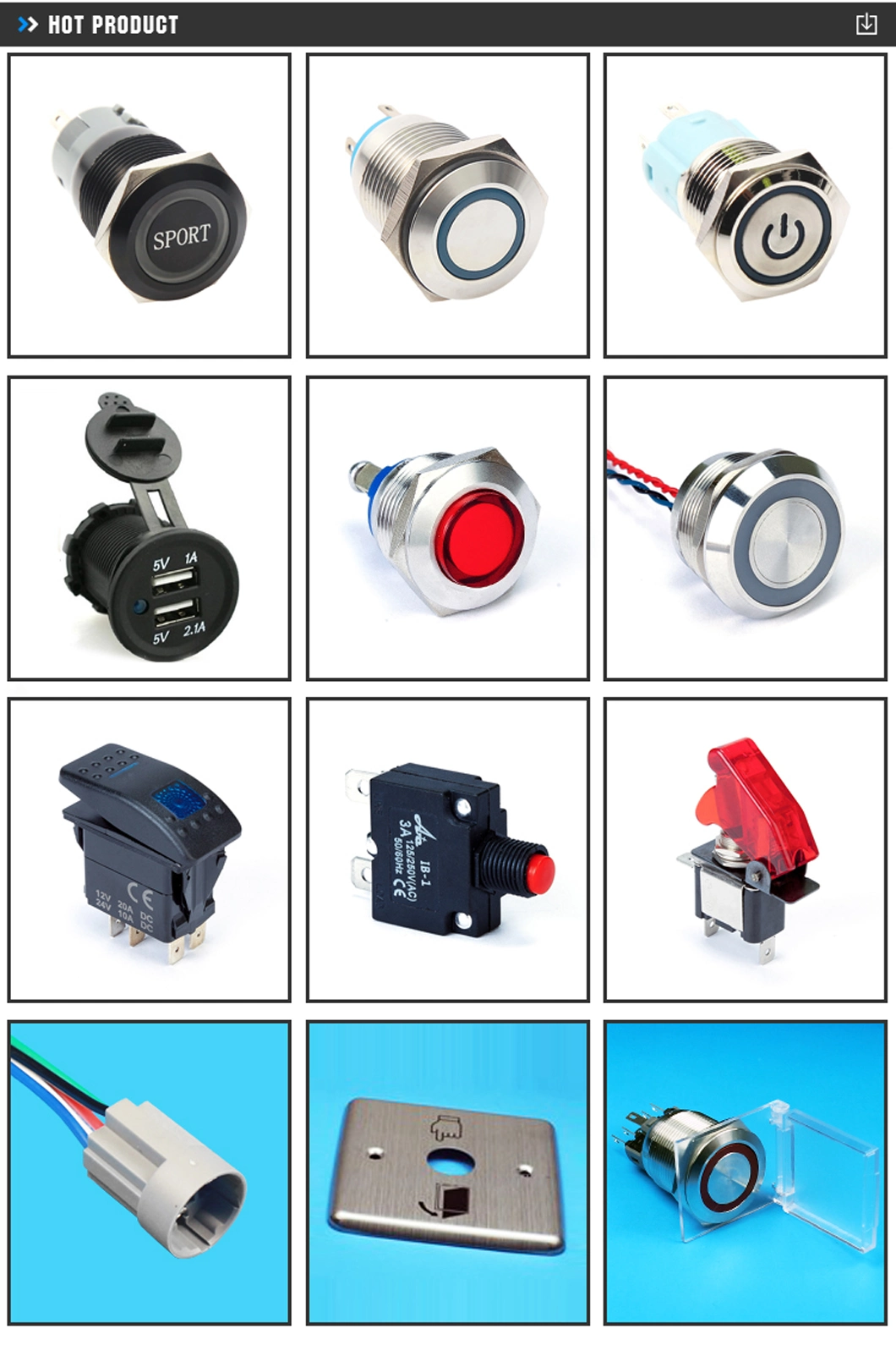 Adjustable Rod Lever Type Limit Switch Supplier