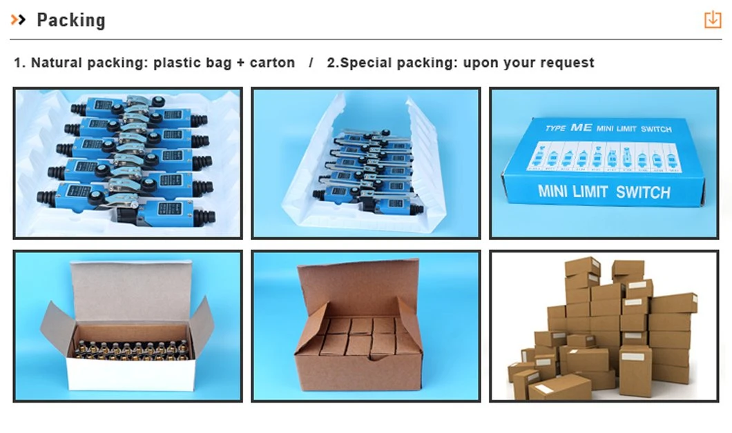 Adjustable Rod Lever Type Limit Switch Supplier