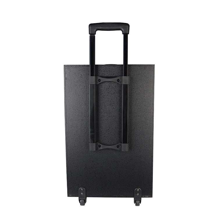 New Portable 12 Inch Multifunction Trolley Party Speaker with Blue Tooth and Wireless Microphone