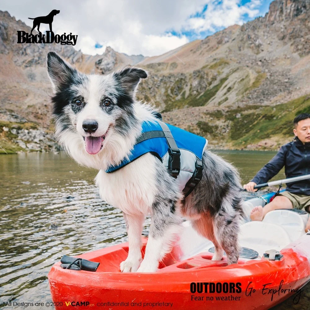 Keep Safe Foam Filling Surfing Life Vest for Large Dog (VC19-DLJ003)