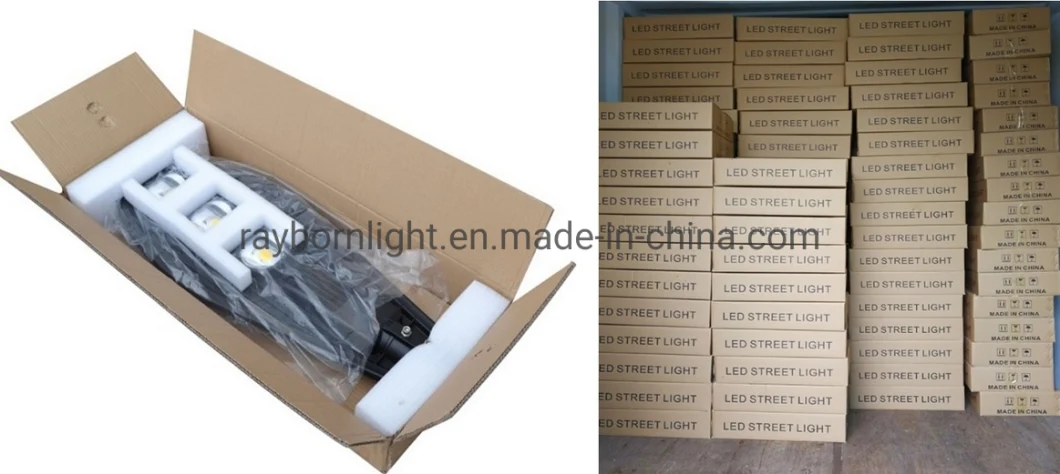 100W High Lumen Bridgelux COB LED Street Light Garden Main Road Highway Lamp LED Road Light