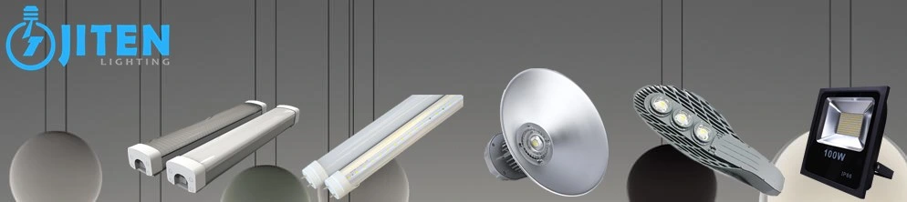 LED Flood Lighting 100W Floodlight COB LED Flood Lamp IP65 Outdoor Light