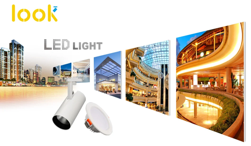 Modern Hotel Room Restaurant Decorate Fitting a Down Light LED COB Light Ceiling Indoor LED Lighting