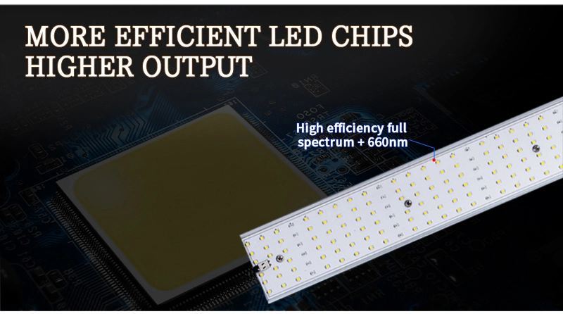Hydroponics System Full Spectrum COB LED Grow Panel Light (320W/400W/500W/640W/1000W)