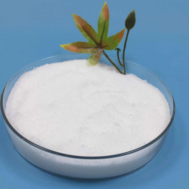 Competitive Price Industrial Grade Sodium Gluconate Powder in Stock CAS No. 527-07-1