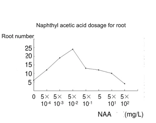 Plant Hormone Naphthalene Acetic Acid Naa Sodium Salt 98%Tc Supplier