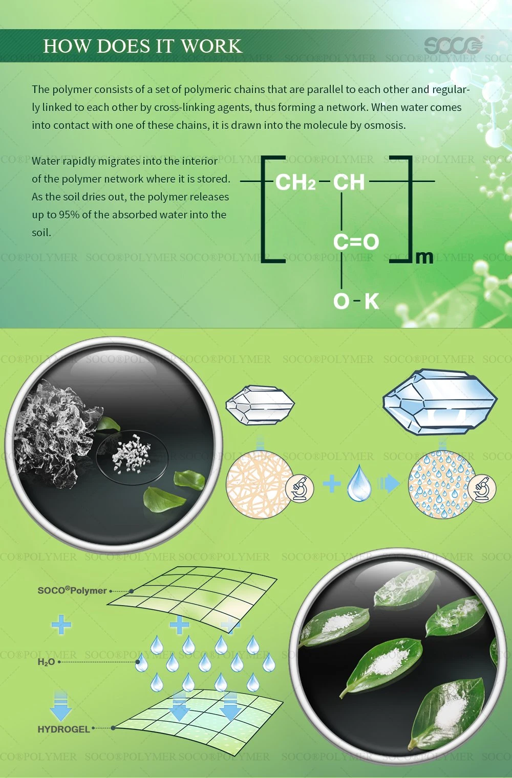 Soco Polymer Paas Sodium Potassium Polyacrylate for Sugar Cane, Wheat, Oats