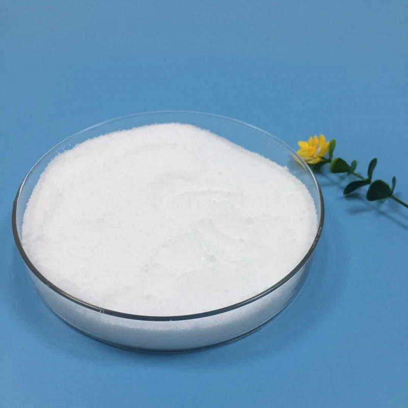 Competitive Price Industrial Grade Sodium Gluconate Powder in Stock CAS No. 527-07-1