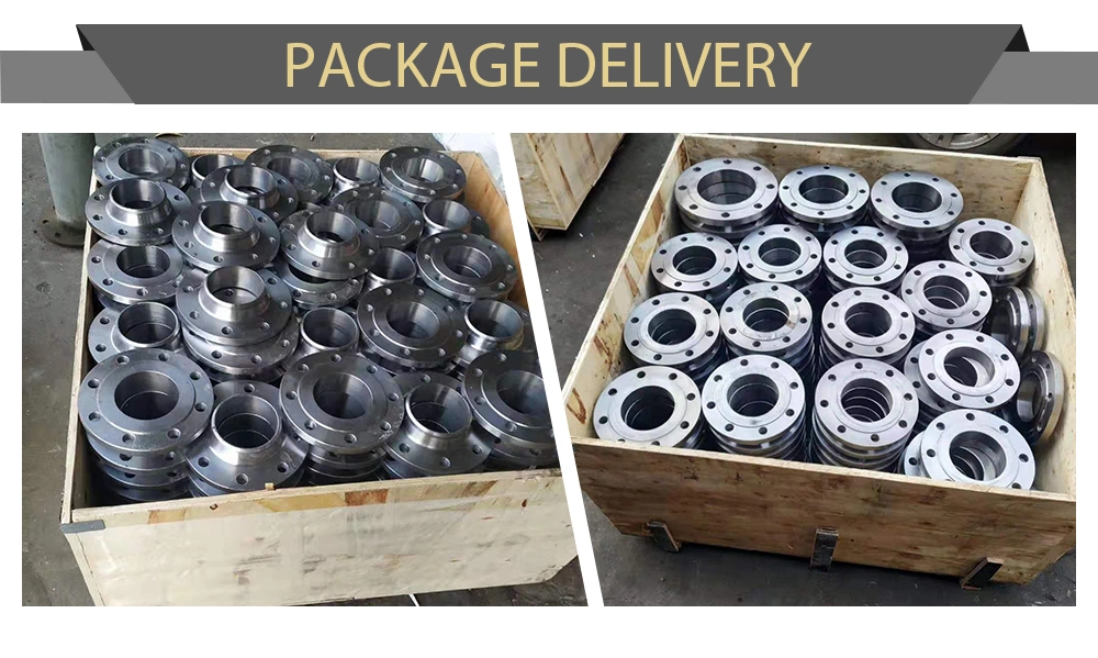 DIN 2532 2531 Flange A105 Forged Carbon Steel Blind Flange