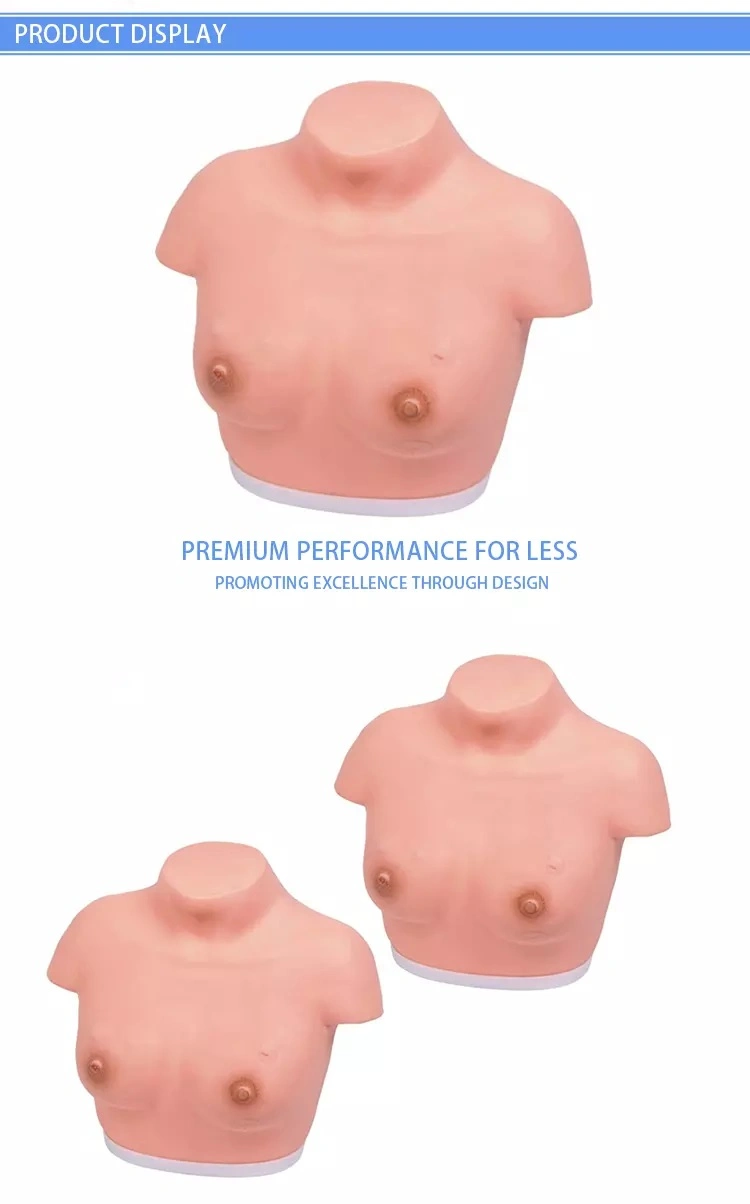 Education Training Female Inspection and Palpation of Breast Model