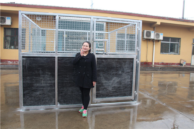 Galvanized Metal HDPE Wall Maded Horse Stable