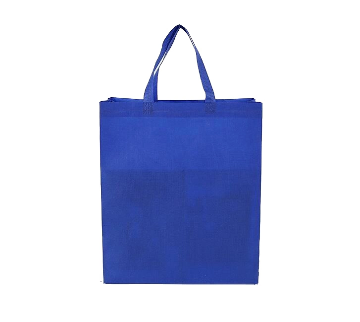 Factory Supply Biodegradable Reusable Non Woven Fabric Carry Bag PP Promotional Non Woven Bag