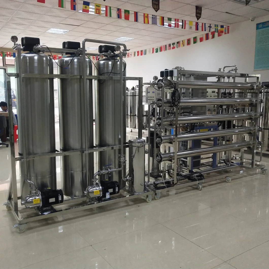 Double Stage RO System 1000lph Softener for Cosmetic/Semiconductor/Dialysis