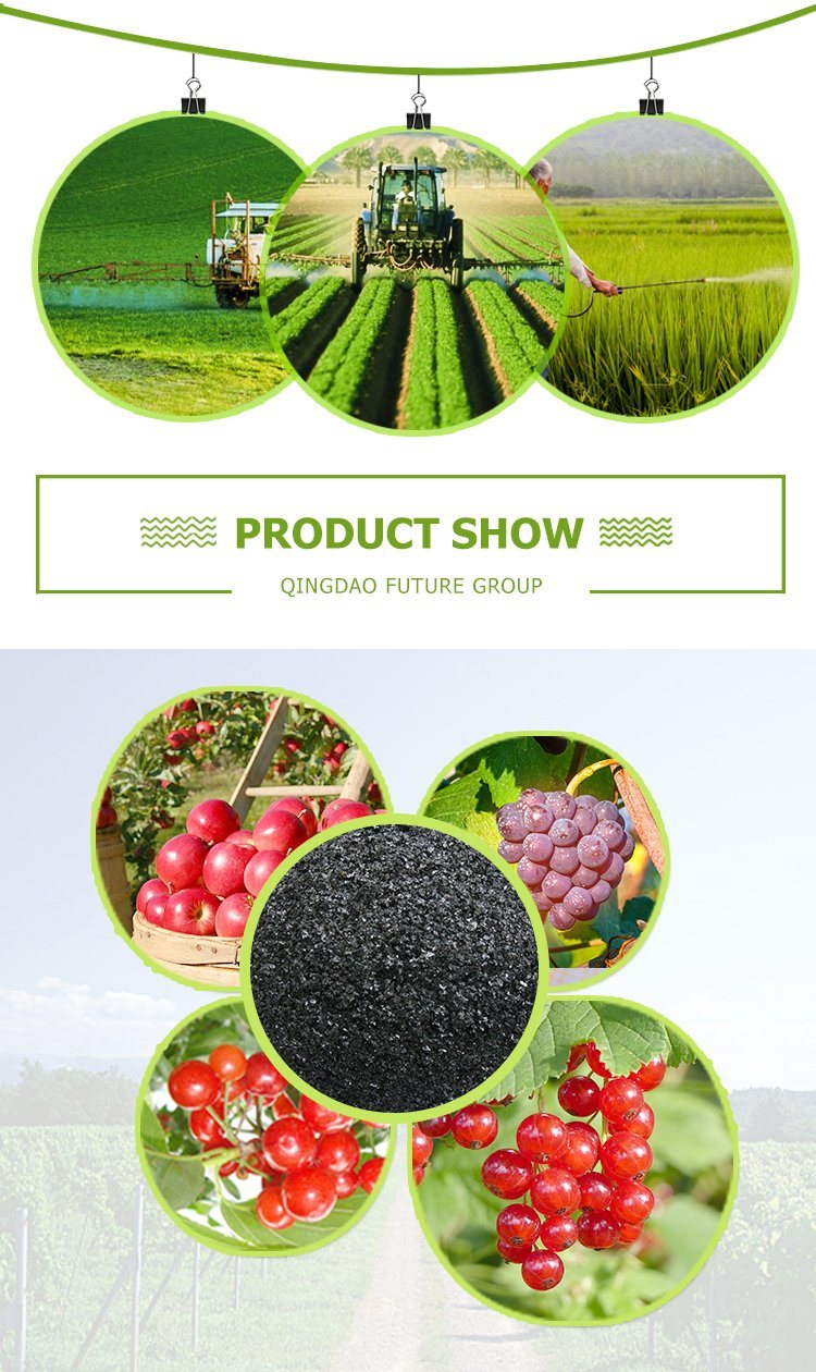 Enzyme Organic Powder Seaweed Extract Fertilizer Plant Growth Stimulant