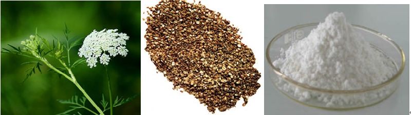 Natural Cnidium Monnieri Extract Osthole 98%