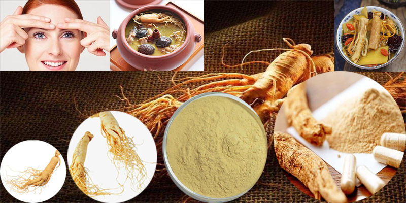 High Quality Red Ginseng Root Ginseng Ginseng Korean Extract Ginsenosides for Sale
