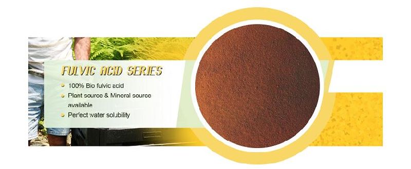 High Quality Plant Extract Water Soluble Fulvic Acid Price Best Fulvic Acid
