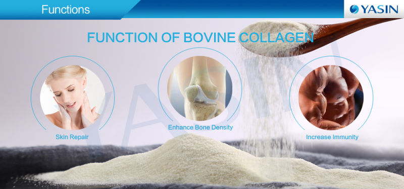 100% Natural Hydrolysate Collagen Supplement