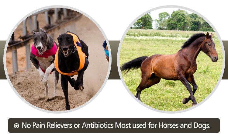Chondroitin Sulfate Injections No Pain Relievers or Antibiotics