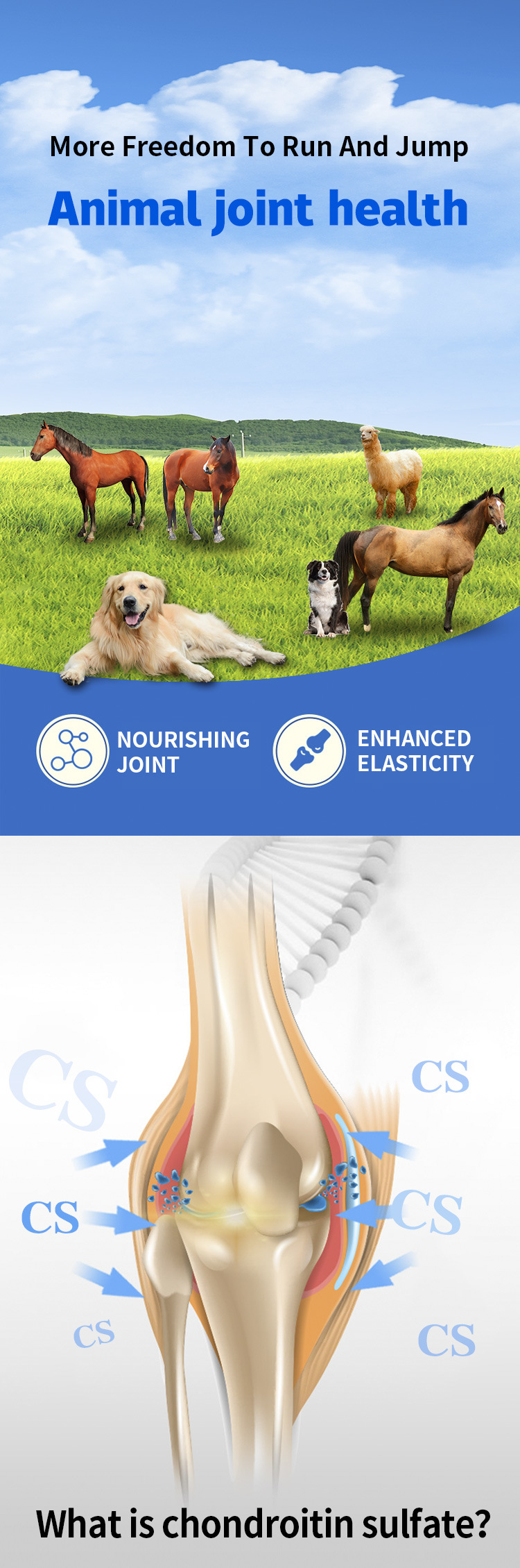Hot Sale Animal Joint Health Chondroitin Sulfate Powder Bulk Price