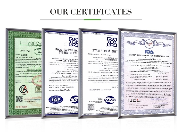 Raw Material Fish Collagen Peptide/Hydrolyzed Fish Collagen Peptides/Hydrolyzed Fish Collagen Powder