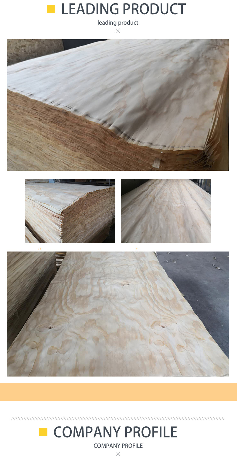 Factory Price Thin Veneer in Plywood with Pine Birch