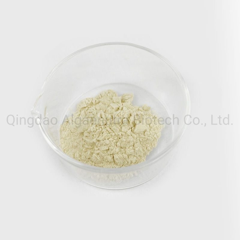 Chlorella Extract Powder Cgf Powder for Health Products
