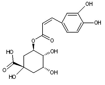 Eucommia Extract Chlorogenic Acid 5~98%