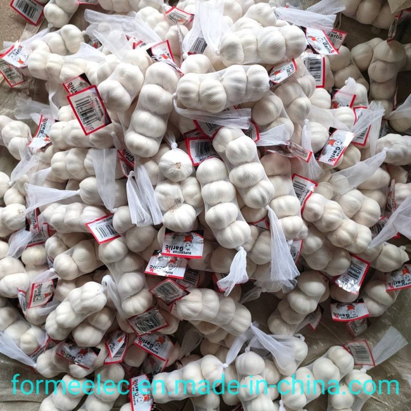 Fresh Garlic Chinese Garlic Normal White Garlic Pure White Garlic
