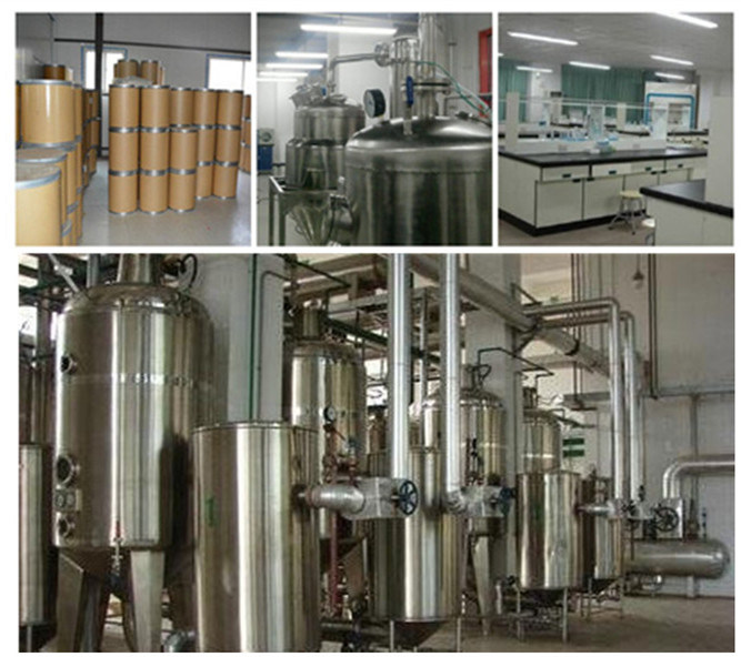 100% Pure Garlic Extract Allicin Alliin Garlic Extract Powder