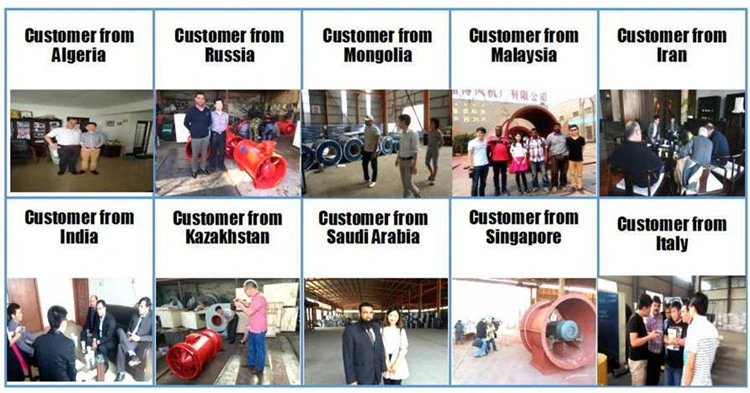 Exhaust Fan High Temperature Resistant Blower Fan for Tobacum Factory Centrifugal Fans Blowers