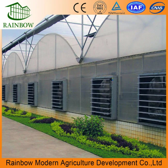 Industrial Centrifugal Exhaust Fan/Chicken Poultry House Ventilation Fan