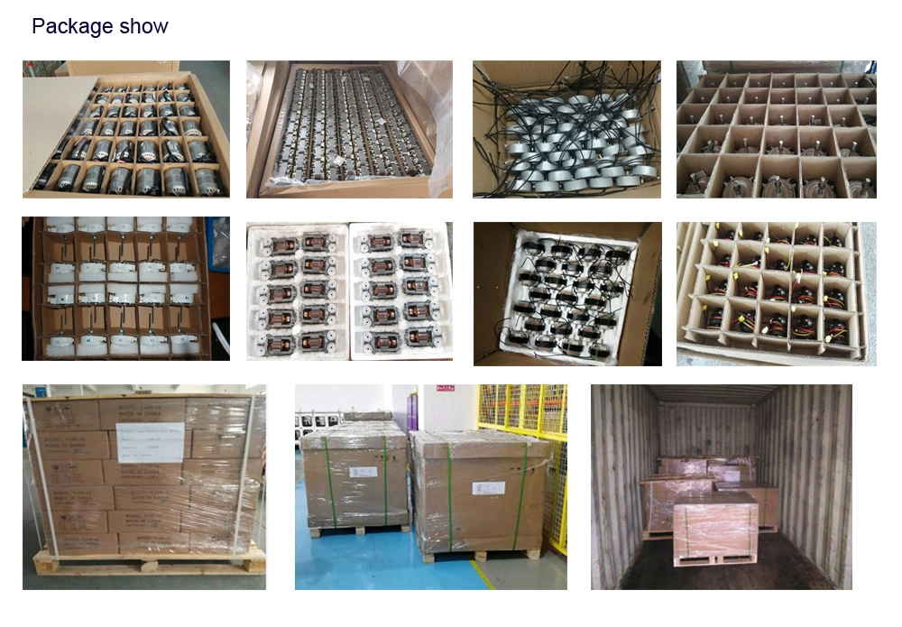 Electrical Professional Manufacturer AC Capacitor Motor for Fan/Table Fan/Home Fan