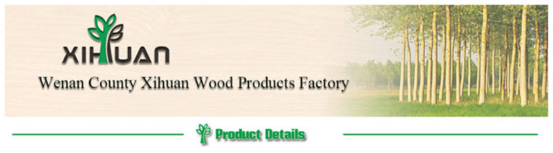 Film Faced Plywood for Building Construction 10-25mm