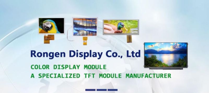 ODM 2.4" Small TFT LCD Portable Display Car DVR Screen Rg024gsd-03