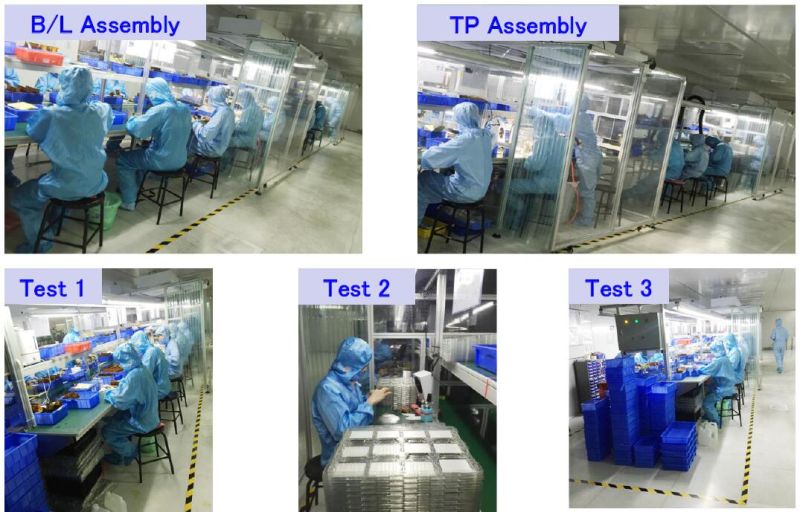 Professional TFT LCD Supplier 5 Inch 800X480 TFT LCD Display with Rtp
