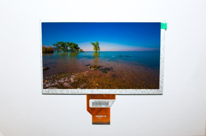 5 Inch Display 5 Inch TFT LCD Module