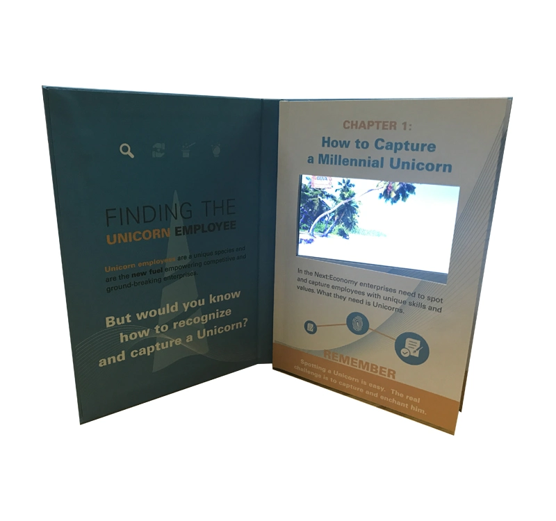 Advertisement LCD Screen Video Book