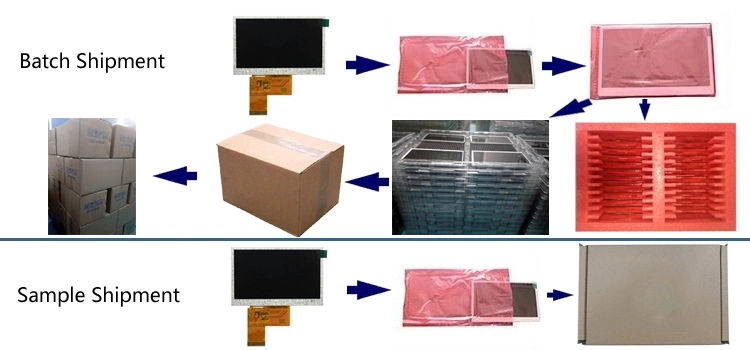 9.0'' 1280*800 Customized Tn/Nw TFT LCD Display/LCD Module/LCD Screen with Rtp