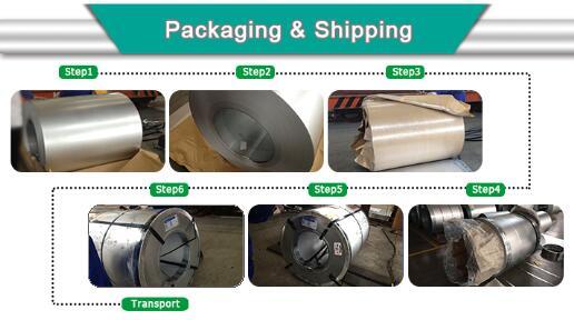 Galvanized Steel Coil/Gi Coil/Galvanized Iron Coil