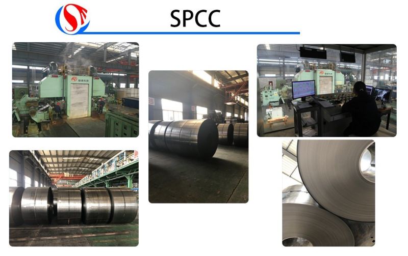 Galvanized Steel Coil Manufacturer Professional Manufacturing Galvanized Steel Sheet