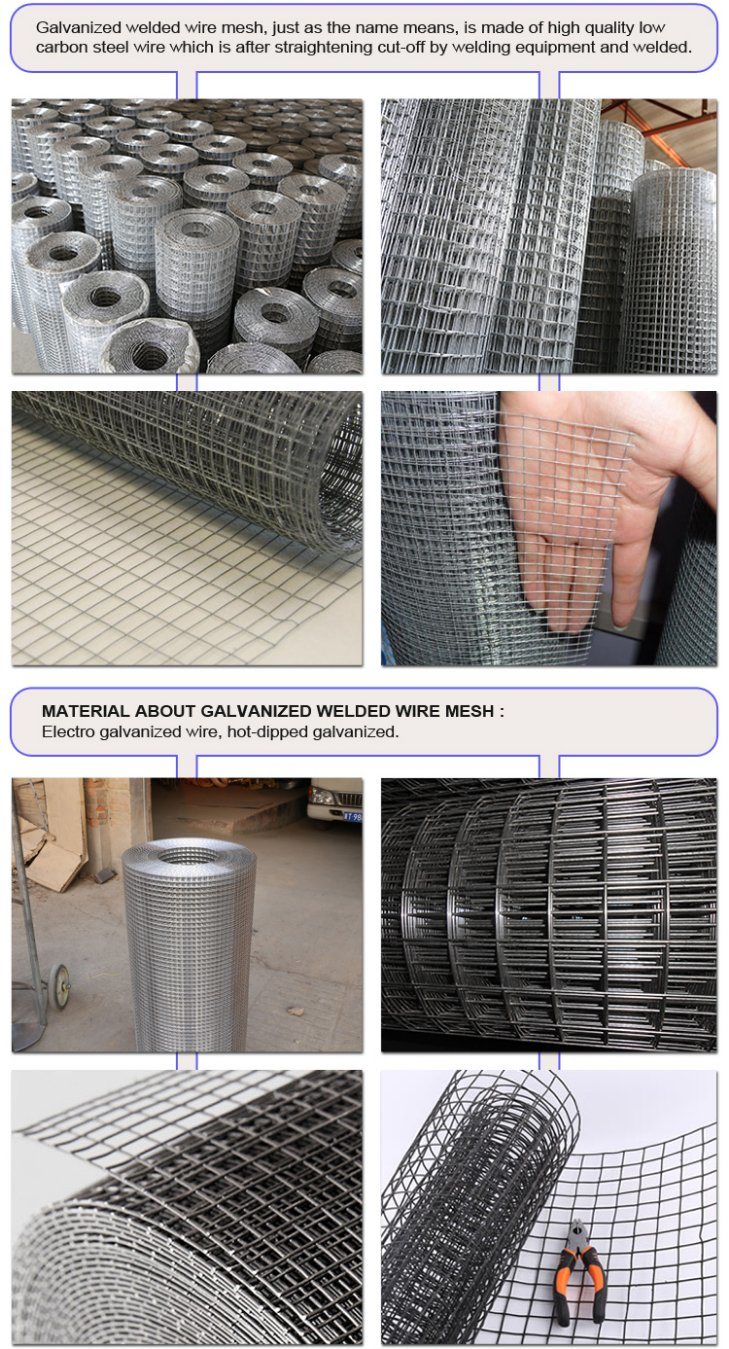 Hot DIP Galvanized Welded Wire Mesh for Fence