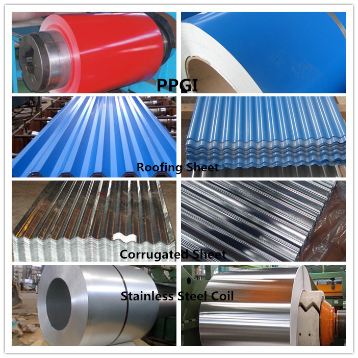 Cold Rolled Galvanized Steel Sheet in Coil From China Supplier (CZ-G20)