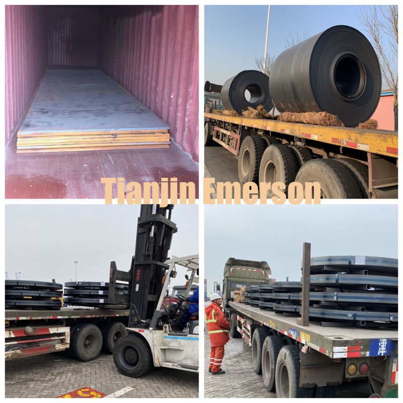 China Factory Price Q235B/Ss400/A36 Hot Rolled Steel Coil Price Ms Coil